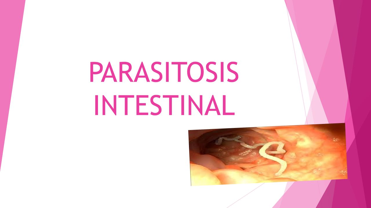 anquilostoma duodenal pdf